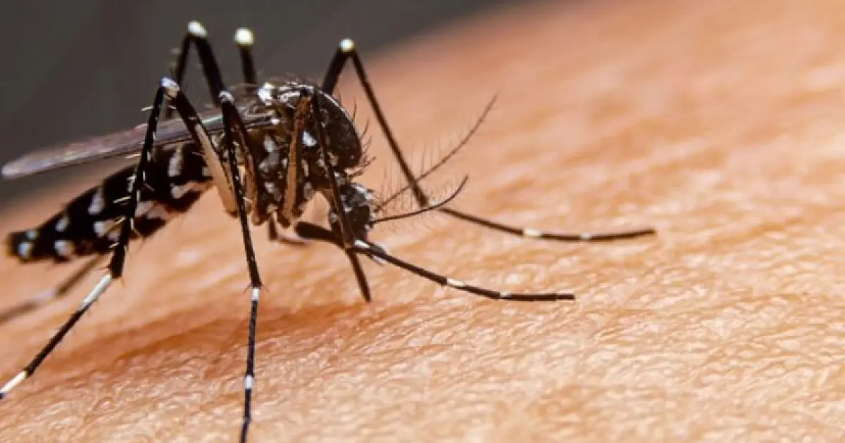Primeira morte por dengue em 2026 é registrada na RMVale