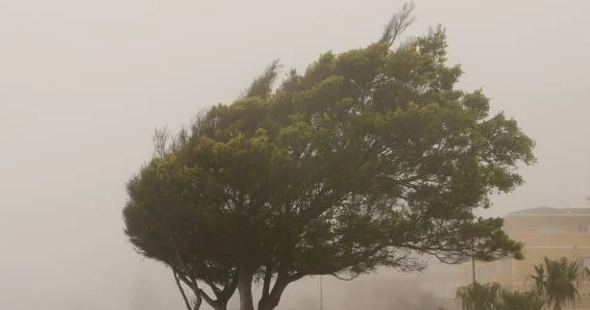 Chuvas fortes e ventos de até 100 km/h podem atingir Serra da Mantiqueira e Vale do Paraíba, alerta INMET