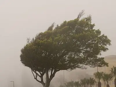 Chuvas fortes e ventos de até 100 km/h podem atingir Serra da Mantiqueira e Vale do Paraíba, alerta INMET