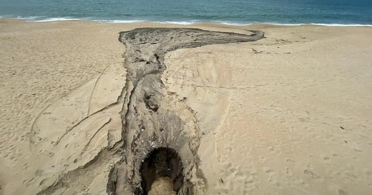 Prefeitura de São Sebastião autua condomínio Alcatrazes por infração ambiental na Praia de Boiçucanga