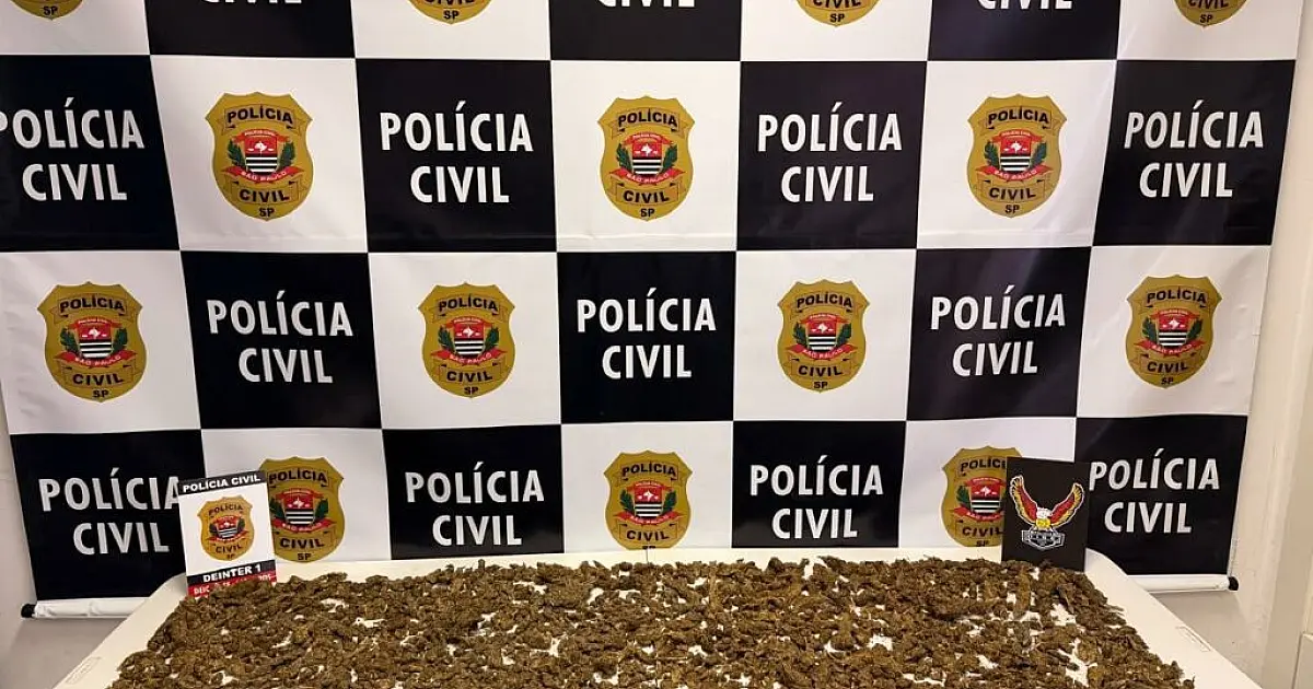 Carga de drogas avaliada em R$ 50 mil é apreendida em operação policial em São José