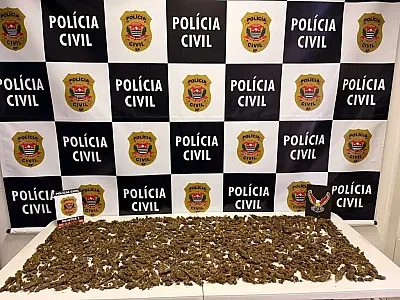 Carga de drogas avaliada em R$ 50 mil é apreendida em operação policial em São José