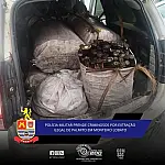 Denúncia leva à apreensão de 500 kg de palmito extraído ilegalmente em Monteiro Lobato