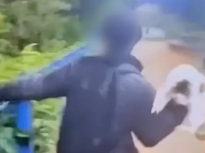 Imagens fortes: vídeo flagra menor de idade jogando gato em rio em São Luiz do Paraitinga
