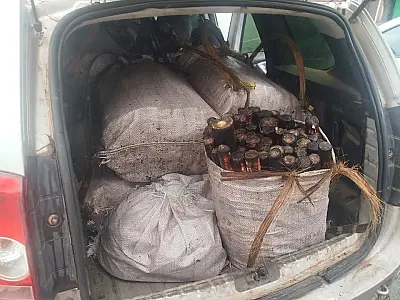 (Imagem: Divulgação / Polícia Ambiental)