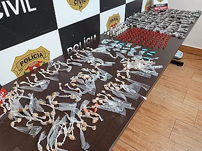 (Imagem: Divulgação / Polícia Civil)