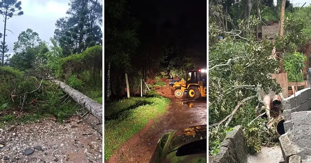 Ciclone extratropical deixa rastro de danos em Campos do Jordão