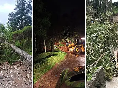 Ciclone extratropical deixa rastro de danos em Campos do Jordão