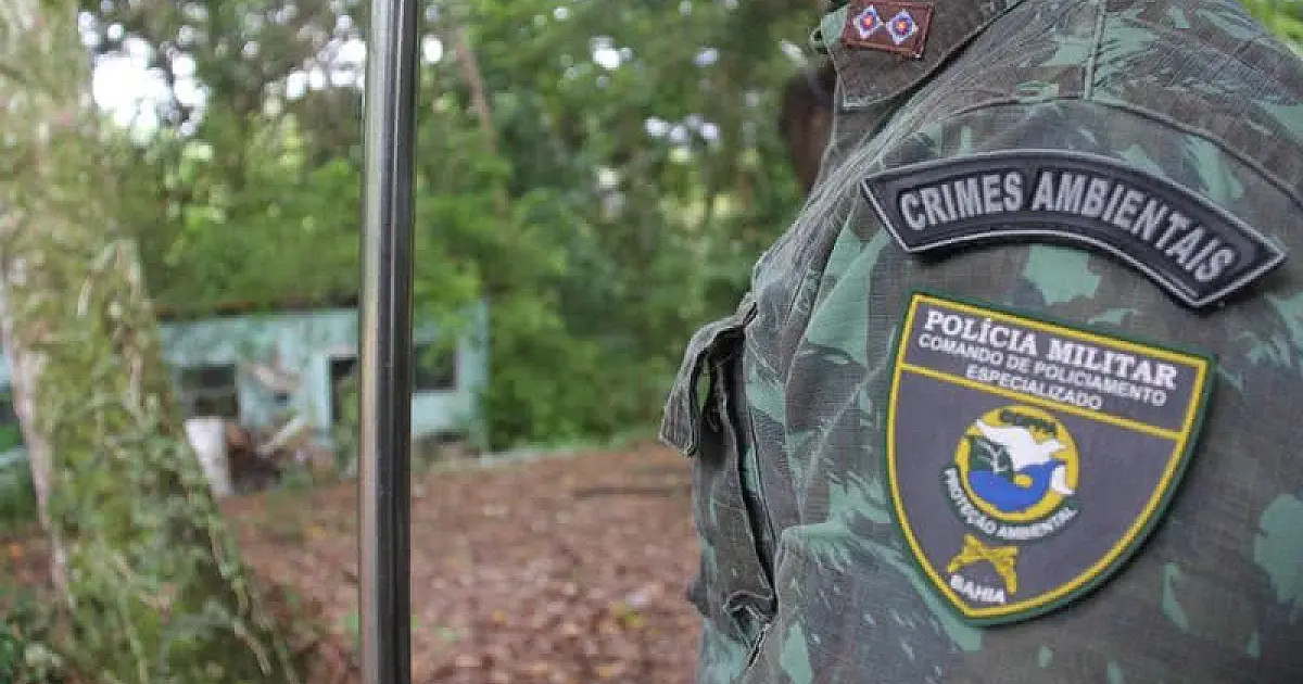 Polícia Ambiental aplica multa de R$ 32 mil por cativeiro irregular de aves em Campos do Jordão