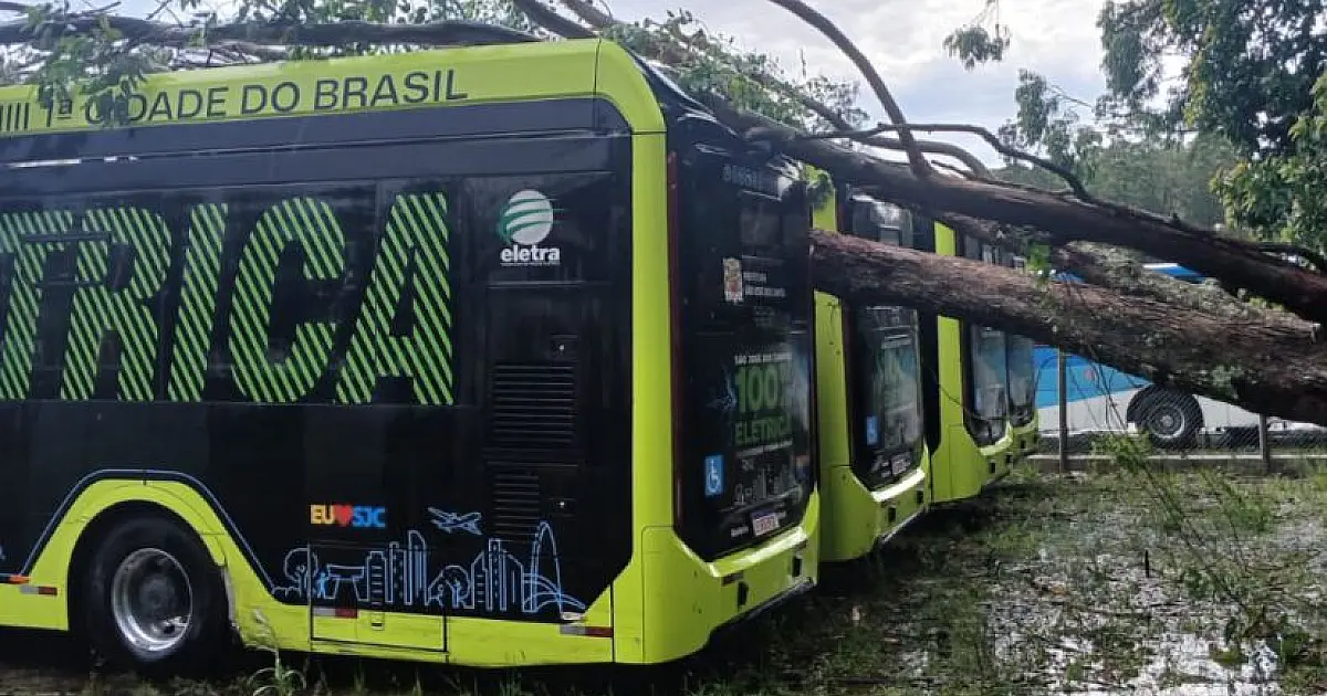 Tempestade derruba árvores e danifica ônibus em São José