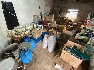 Jacareí: operação policial apreende 350 kg de palmito em fábrica clandestina
