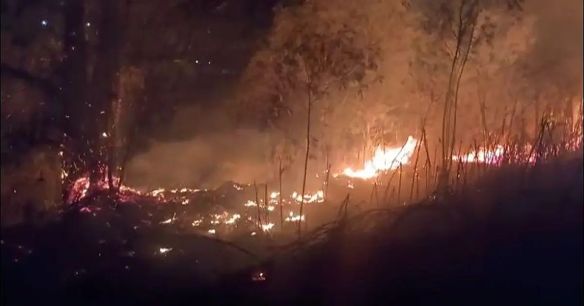 Incêndio de grandes proporções atinge área de mata em Jacareí