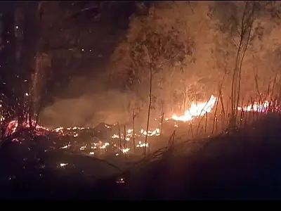 Incêndio de grandes proporções atinge área de mata em Jacareí