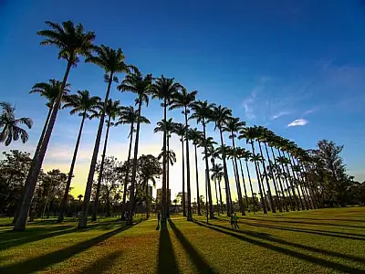 Parque da Cidade em São José.