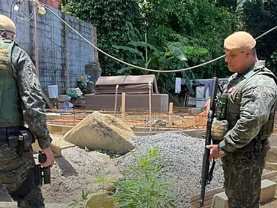 Operação Impacto: polícia descobre cultivo de maconha em área de preservação em São Sebastião