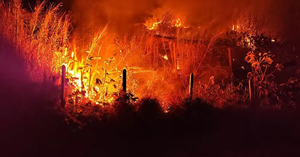 Incêndio atinge cerca 30 mil metros quadrados de área de mata em Santo Antônio do Pinhal