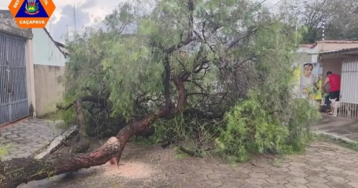 Temporal registra 10 ocorrências e queda de árvores em Caçapava