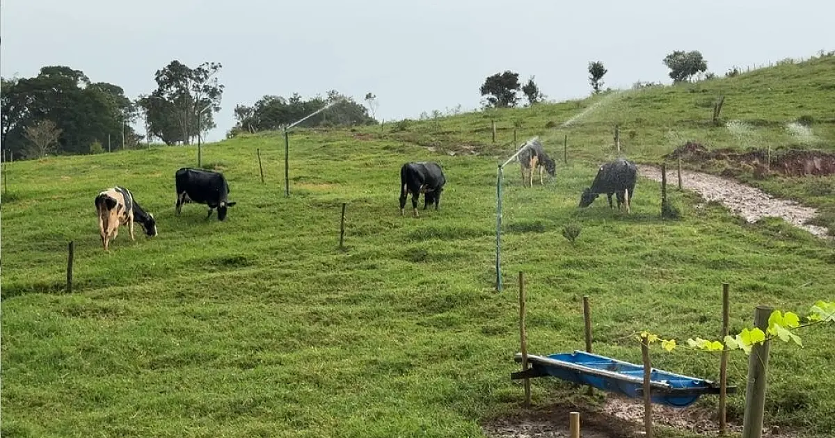 Refloresta SP transforma propriedades no Vale do Paraíba
