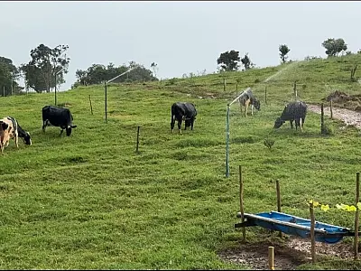 O Projeto Vale + Verde  é desenvolvido no Vale do Paraíba com recursos do Fundo Estadual de Prevenção e Controle da Poluição (Fecop).