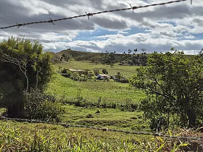 Certificado permitirá a produtores de Taubaté vender produtos de origem animal em todo o Brasil
