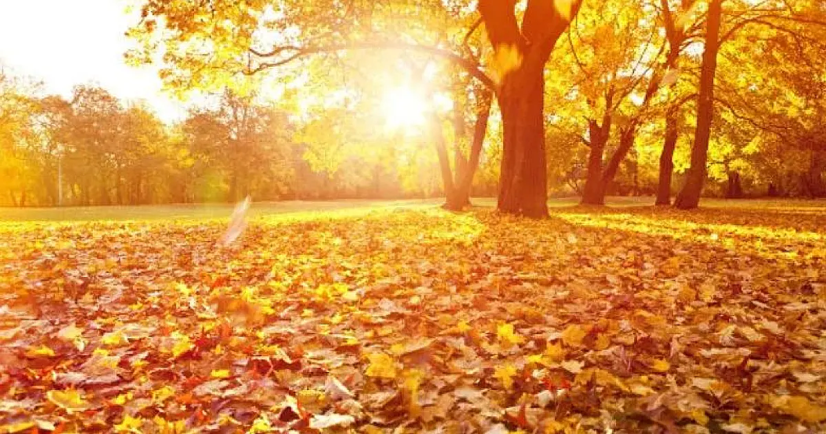 Primeiro dia do outono tem sol predominante na região