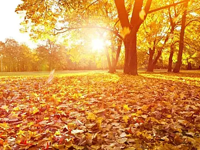 Primeiro dia do outono tem sol predominante na região