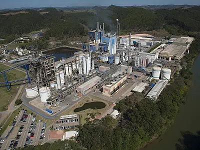 Mulheres impulsionam ciência e tecnologia no laboratório de inovação da Suzano, em Jacareí