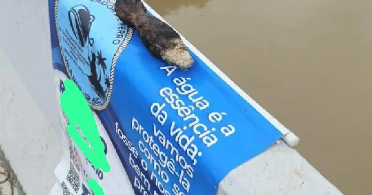 Artefato suspeito fecha Ponte Flaminio Vaz e causa transtornos em São José