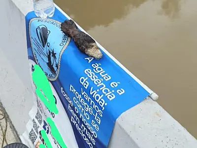 Artefato suspeito fecha Ponte Flaminio Vaz e causa transtornos em São José