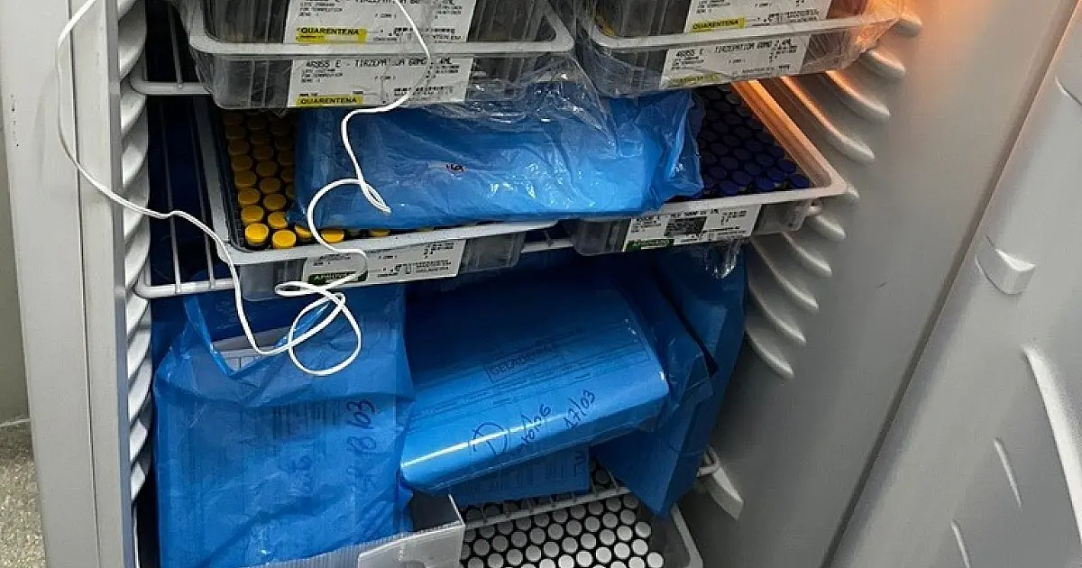 Farmácia é interditada pela Anvisa em São José após irregularidades em medicamentos