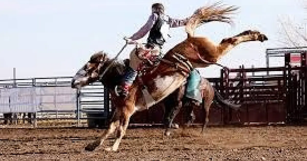 Regulamentação dos rodeios em Guará avança e aguarda sanção do Executivo