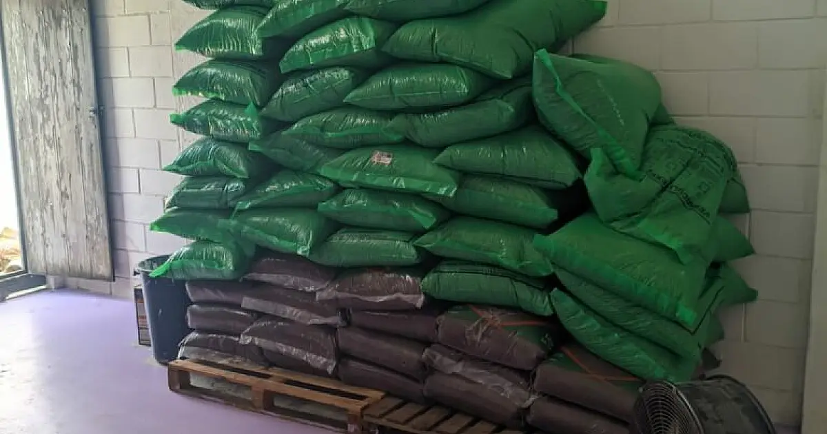 Operação da Polícia Civil encontra quase 900 kg de cogumelos alucinógenos em Ubatuba