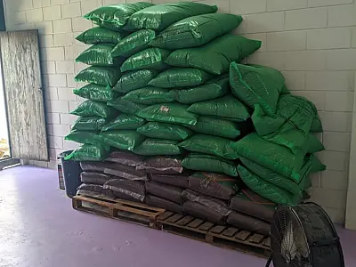 Operação da Polícia Civil encontra quase 900 kg de cogumelos alucinógenos em Ubatuba