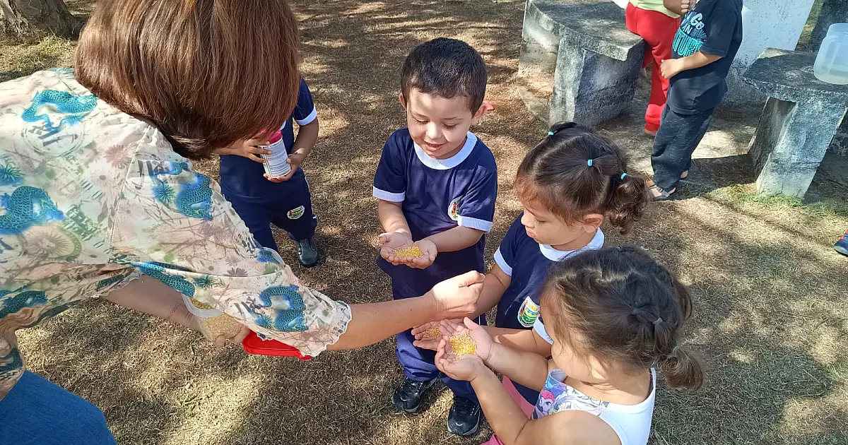Creche na Vila São José em Taubaté promove ‘Jardim das Aves’ com observação de pássaros e contato com a natureza