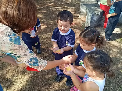 Creche na Vila São José em Taubaté promove ‘Jardim das Aves’ com observação de pássaros e contato com a natureza