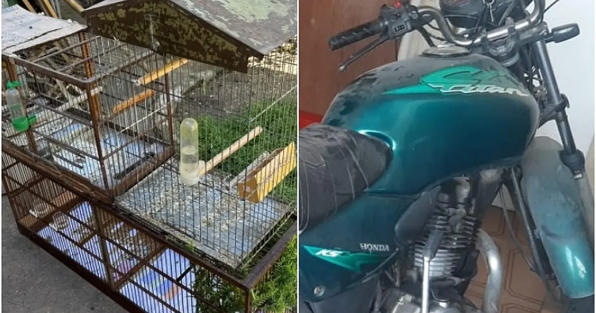 Denúncia leva à apreensão de aves silvestres e moto roubada em São José