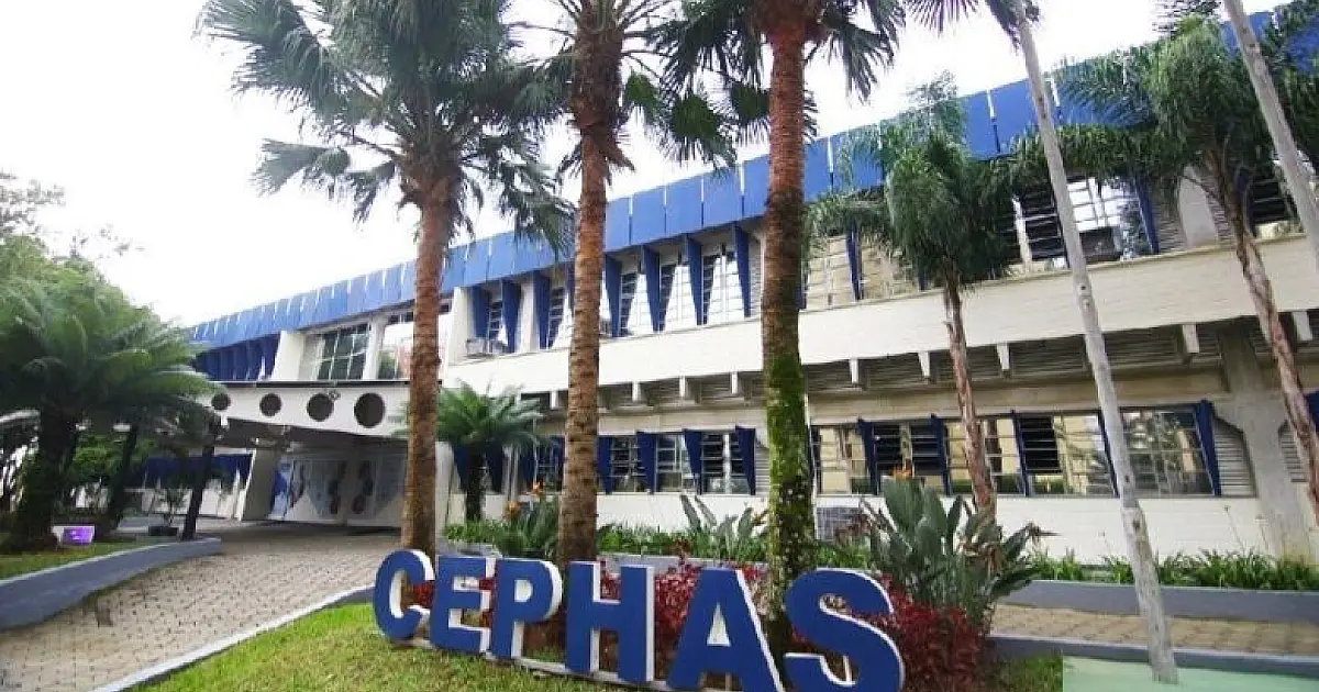 Cephas abre inscrições de cursos online gratuitos de qualificação profissional em São José