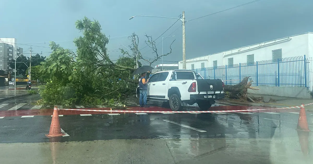 Temporal na região sul de São José dos Campos deixa árvores caídas e vias interditadas