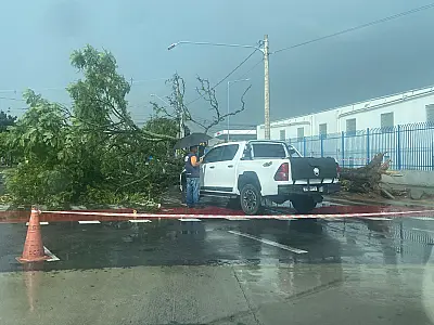 Temporal na região sul de São José dos Campos deixa árvores caídas e vias interditadas