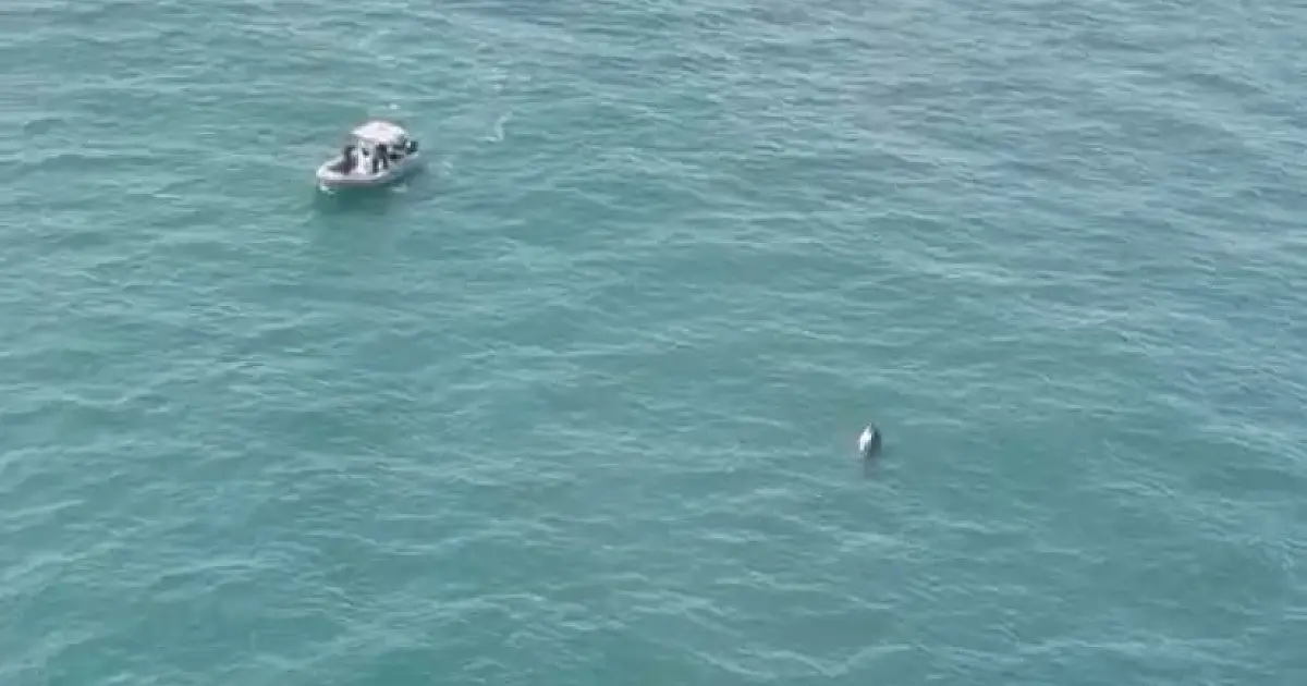 Buscas por vítimas desaparecidas em Ilhabela entram no terceiro dia