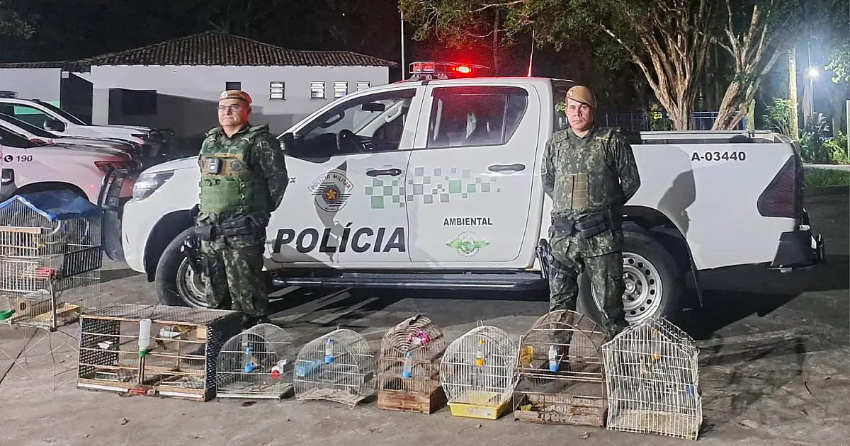 Polícia Ambiental resgata aves silvestres mantidas em cativeiro em São José; suspeito é multado em R$ 5 mil