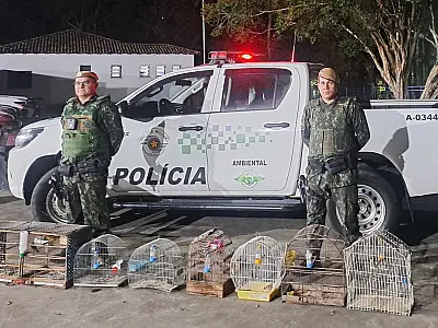 (Imagem: Divulgação / Polícia Ambiental)