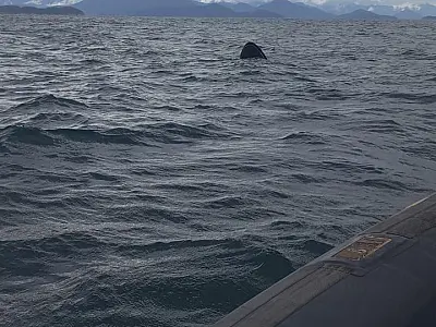 Motoaquática foi localizada no sul de Ilhabela.