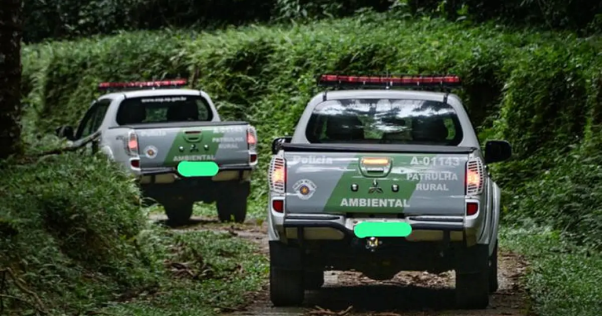 Operação Venatores combate caça ilegal em áreas de Mata Atlântica em Ubatuba
