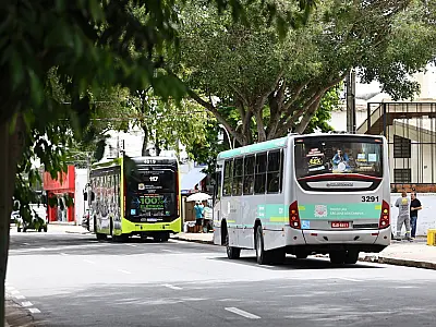 (Imagem: Cláudio Ribeiro / PMSJC)