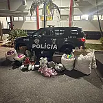 Polícia militar apreende quase 48 kg de maconha e cocaína em imóvel usado pelo tráfico em Pinda