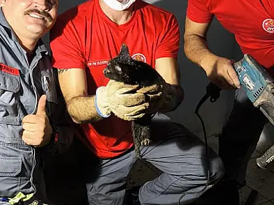 (Imagem: Divulgação / CB)