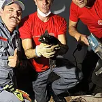 Bombeiros removem piso de residência para salvar gato preso em tubulação em Ubatuba