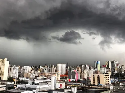(Imagem: Reprodução / Jornal USP)