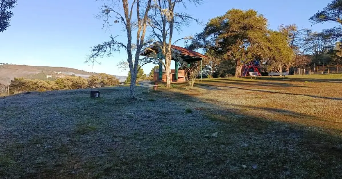 Com geada e neblina, Campos do Jordão registra manhã mais fria do estado de São Paulo com 3,1ºC